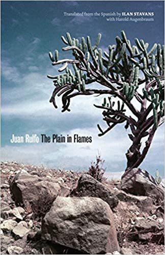 okumak The Plain in Flames (Joe R. &amp; Teresa Lozano Long Series in Latin American &amp; Latino Art &amp; Culture)