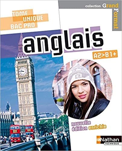 okumak Anglais Bac Pro - Niveau A2&gt;B1+ Grand Format Livre de l&#39;élève (ANGLAIS LP)