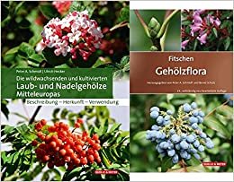 okumak Die wildwachsenden und kultivierten Laub- und Nadelgehölze Mitteleuropas + Fitschen – Gehölzflora 13. Auflage: Set