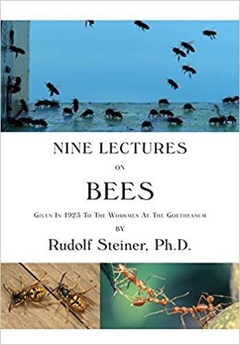okumak Nine Lectures on Bees: Given In 1923 To The Workmen At The Goetheanum