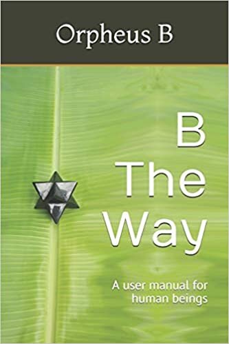 okumak B The Way: A user manual for human beings
