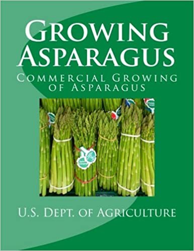 okumak Growing Asparagus: Commercial Growing of Asparagus