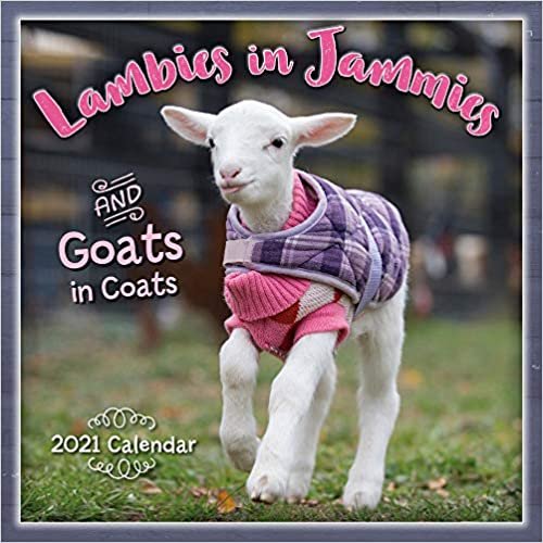 okumak Lambies in Jammies &amp; Goats in Coats 2021 Calendar