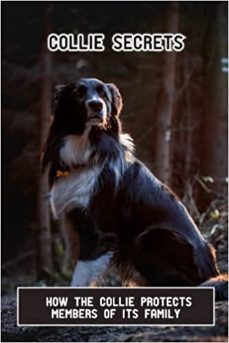 okumak Collie Secrets: How The Collie Protects Members Of Its Family
