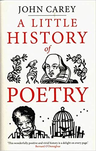 okumak A Little History of Poetry (Little Histories)
