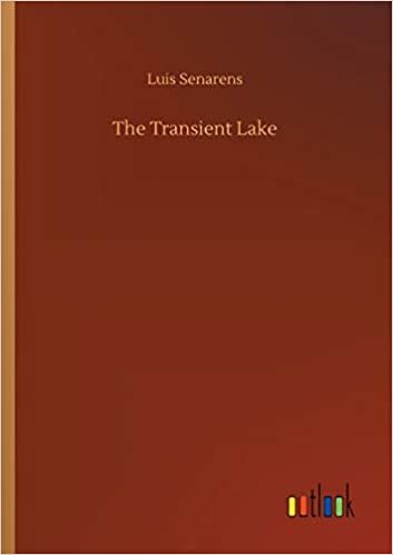 okumak The Transient Lake