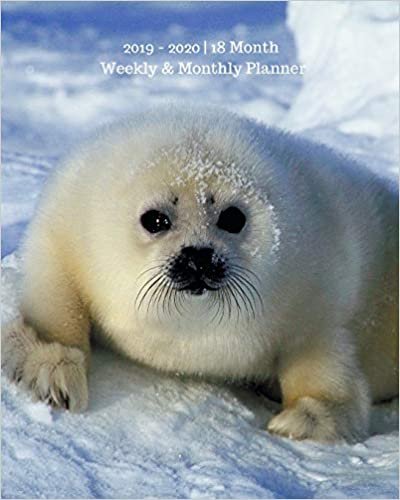okumak 2019 - 2020 | 18 Month Weekly &amp; Monthly Planner: July 2019 to December 2020 | Calendar in Review/Monthly Calendar with U.S./UK/ ... 8 x 10 in.- White Seal Animal Vol 10