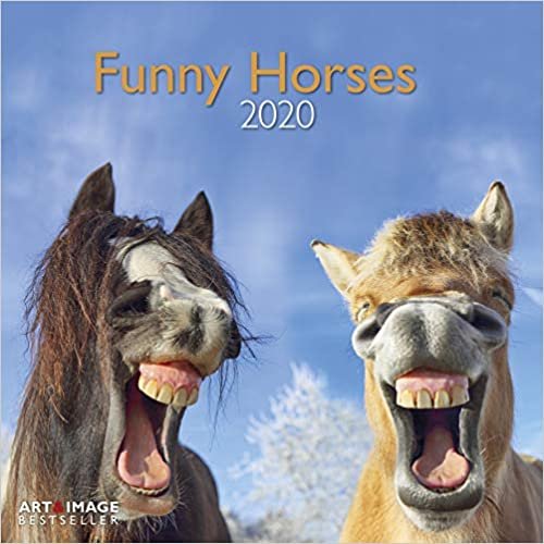 okumak Funny Horses 2020 A&amp;I