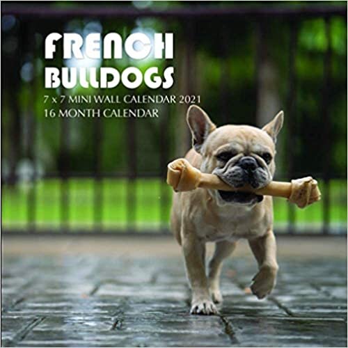 okumak French Bulldogs 7 x 7 Mini Wall Calendar 2021: 16 Month Calendar