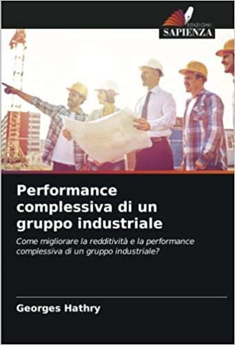 Performance complessiva di un gruppo industriale: Come migliorare la redditività e la performance complessiva di un gruppo industriale? (Italian Edition)