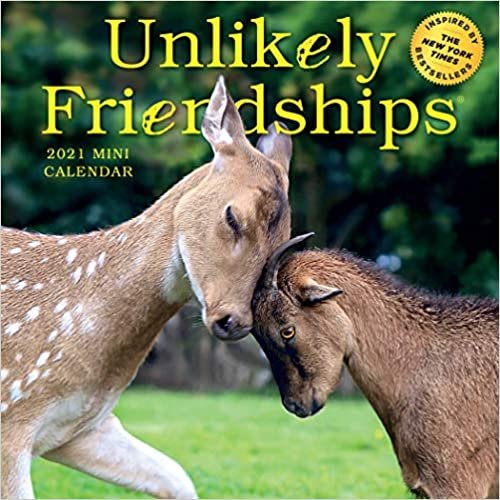 okumak Unlikely Friendships 2021 Calendar