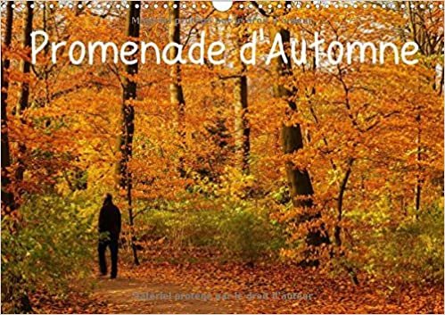 okumak Promenade d&#39;Automne 2017: Une Promenade Haute en Couleurs et Pleine de Serenite (Calvendo Nature)