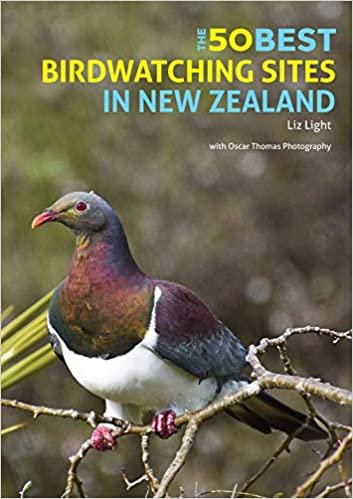 okumak Light, L: 50 Best Birdwatching Sites In New Zealand