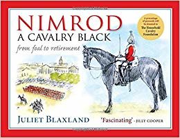 okumak Nimrod: A Cavalry Black: From Foal to Retirement