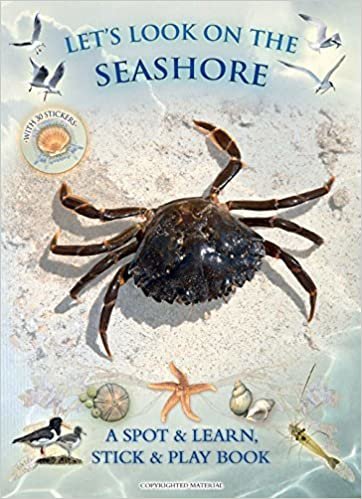 okumak Lets Look On the Seashore: A Natural History Activity Book