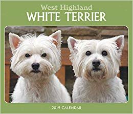 okumak West Highland White Terriers B 2019