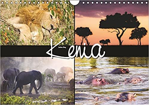okumak Kenia (Wandkalender 2019 DIN A4 quer): Tiere und Landschaften, fotografiert in Kenia (Monatskalender, 14 Seiten )