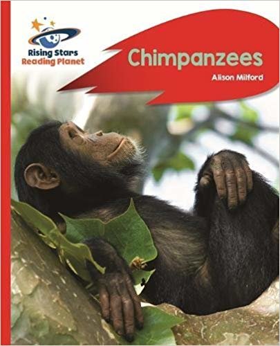 okumak Reading Planet - Chimpanzees - Red B: Rocket Phonics