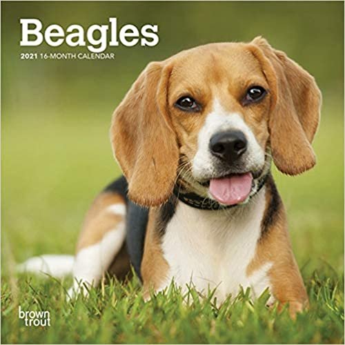 okumak Beagles 2021 Calendar