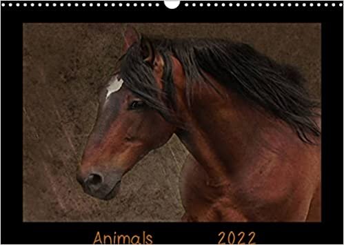 okumak Animals (Wandkalender 2022 DIN A3 quer): Künstlerische Tierfotografien von A - Z (Monatskalender, 14 Seiten ) (CALVENDO Tiere)