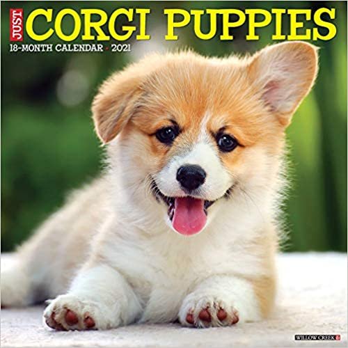 okumak Just Corgi Puppies 2021 Calendar