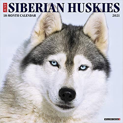 okumak Just Siberian Huskies 2021 Calendar