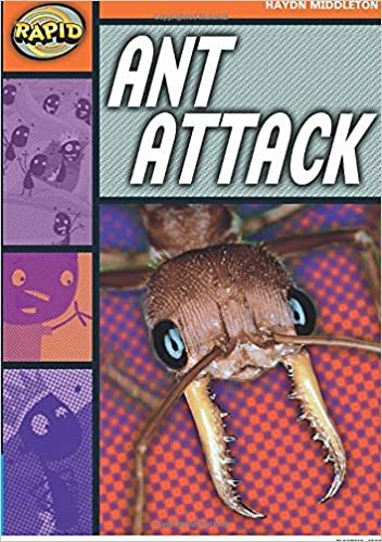okumak Rapid Stage 4 Set B: Ant Attack (Series 1)