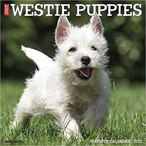 okumak Just Westie Puppies 2021 Calendar