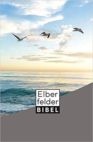 okumak Elberfelder Bibel - Taschenausgabe, Motiv Möwen