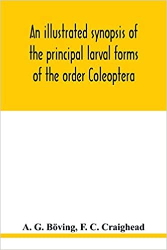 okumak An illustrated synopsis of the principal larval forms of the order Coleoptera