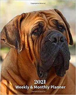 okumak 2021 Weekly and Monthly Planner: Boerboel Mastiff Dog- Monthly Calendar with U.S./UK/ Canadian/Christian/Jewish/Muslim Holidays– Calendar in ... in.- Dog Breed Pets For Work Business School