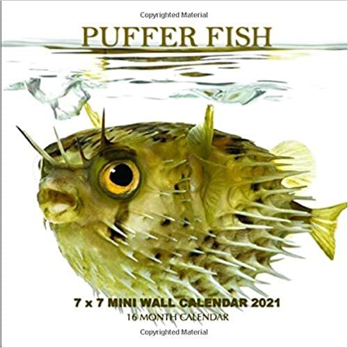 okumak Puffer Fish 7 x 7 Mini Wall Calendar 2021: 16 Month Calendar