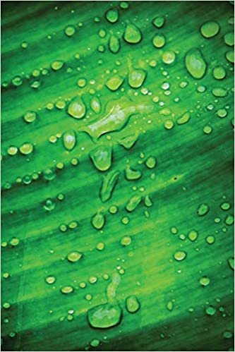okumak Dew Leaf Journal: Blank Notebook Diary Memoir Log Logue: Volume 41 (Go Green 365 Lined)