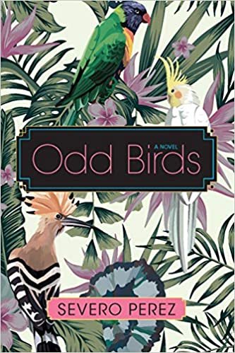 okumak Odd Birds