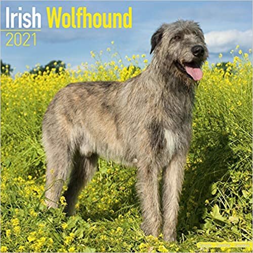 okumak Irish Wolfhounds - Irische Wolfshunde 2021 - 16-Monatskalender: Original Avonside-Kalender [Mehrsprachig] [Kalender]: Original BrownTrout-Kalender [Mehrsprachig] [Kalender] (Wall-Kalender)