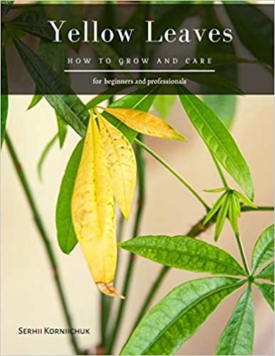 okumak Yellow Leaves: How to grow and care