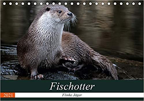 okumak Fischotter, flinke Jäger (Tischkalender 2021 DIN A5 quer): Fischotter sind flinke und wendige Jäger (Monatskalender, 14 Seiten )