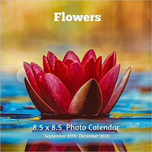 okumak Flowers 8.5 X 8.5 Calendar September 2019 -December 2020: Monthly Calendar with U.S./UK/ Canadian/Christian/Jewish/Muslim Holidays-Wildflower Garden