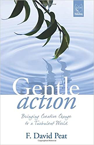 okumak Gentle Action: Bringing Creative Change to a Turbulent World
