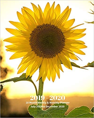 okumak 2019 - 2020 | 18 Month Weekly &amp; Monthly Planner July 2019 to December 2020: Yellow Sunflower Wildflower Garden Vol. 4 Monthly Calendar with U.S./UK/ ... Holidays– Calendar in Review/Notes 8 x 10 in.