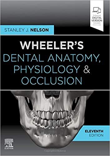 okumak Wheeler&#39;s Dental Anatomy, Physiology and Occlusion