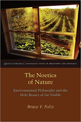 okumak The Noetics of Nature : Environmental Philosophy and the Holy Beauty of the Visible