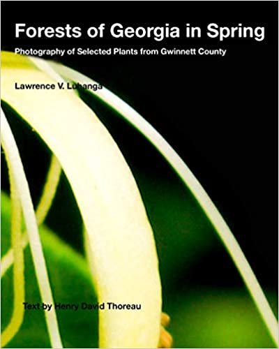 okumak Forests of Georgia in Spring: Photography of Selected Plants from Gwinnett County