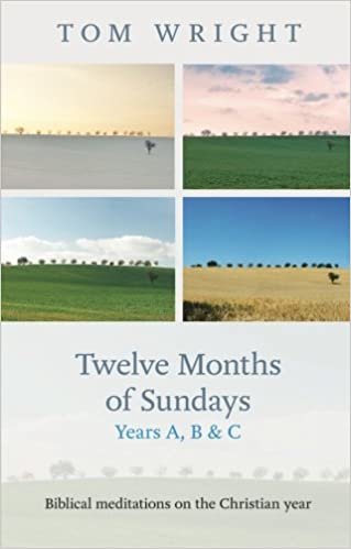okumak Twelve Months of Sundays Years A, B and C : Biblical Meditations on the Christian Year