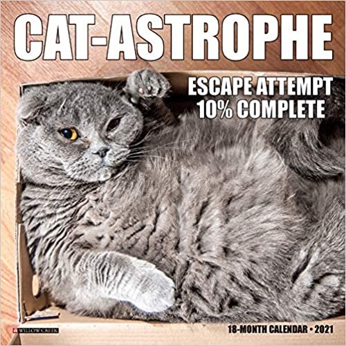okumak Cat-astrophe 2021 Calendar