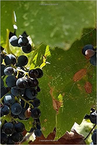 okumak Notebook Grapes on the Vine in a Vinyard