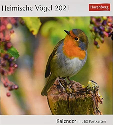 okumak Heimische Vögel 2021: Kalender mit 53 Postkarten