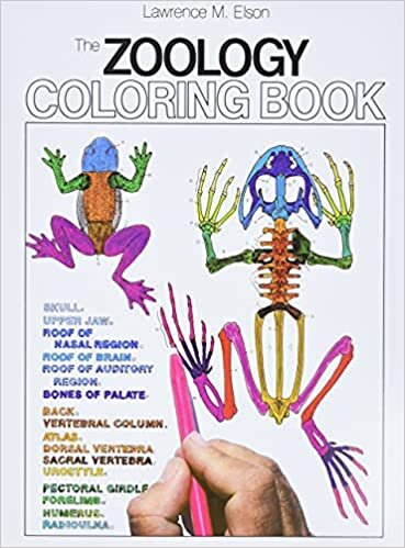 okumak The Zoology Colouring Book (College Outline S.)