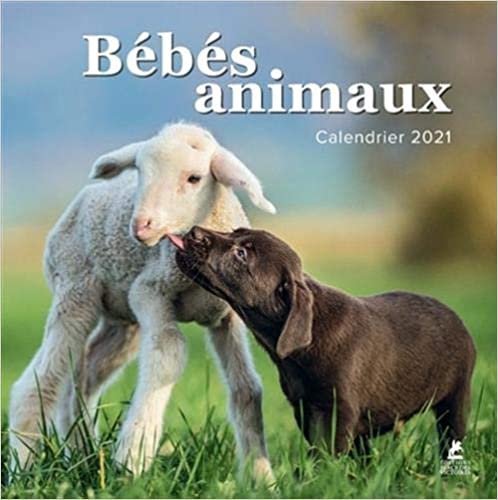 okumak Bébés animaux - Calendrier 2021