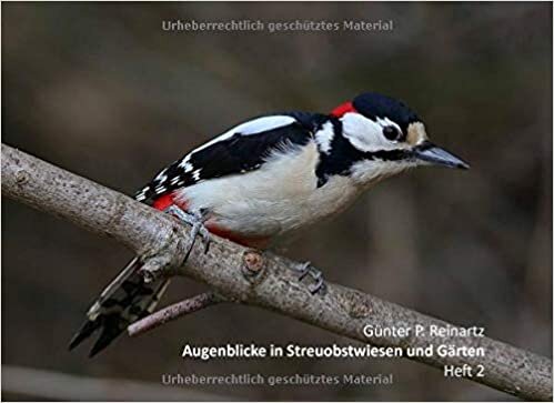 okumak Günter P. Reinartz Augenblicke in Streuobstwiesen und Gärten Heft 2: Specht, Häher, Drossel, Fink, Stelze &amp; Wiedehopf